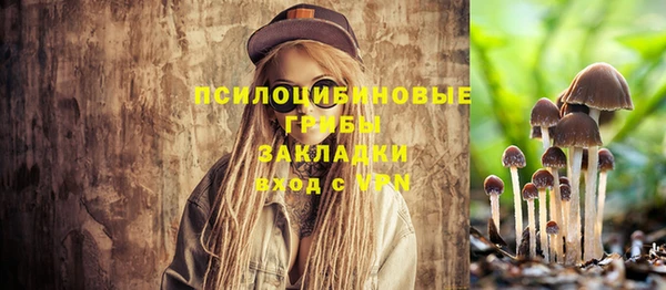 хмурый Алексеевка