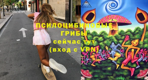 герыч Алексин